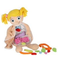 Lalka anatomiczna montessori – nauka budowy ciała dziewczynka