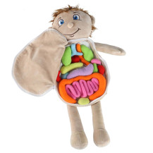 Lalka anatomiczna chłopiec - nauka budowy ciała STEM 48 cm
