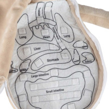 Lalka anatomiczna chłopiec - nauka budowy ciała STEM 48 cm
