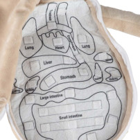 Lalka anatomiczna chłopiec - nauka budowy ciała STEM 48 cm