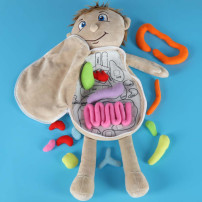 Lalka anatomiczna chłopiec - nauka budowy ciała STEM 48 cm