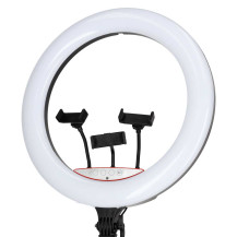 Lampa pierścieniowa LED RGB IKONKA na statywie do selfie