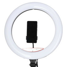 Lampa pierścieniowa LED RGB IKONKA na statywie do selfie