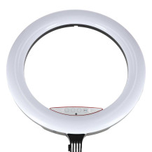 Lampa pierścieniowa LED RGB IKONKA na statywie do selfie