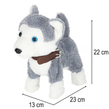 Piesek interaktywny husky na smyczy - chodzi i szczeka