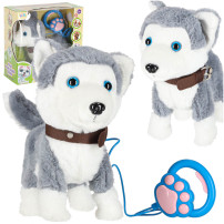 Piesek interaktywny husky na smyczy - chodzi i szczeka