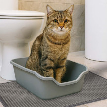 Mata pod kuwetę dla kota wodoodporna dwuwarstwowa 40x60cm