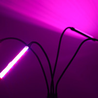 Lampa LED do roślin na statywie 4x80 diod, timer i pilot RF
