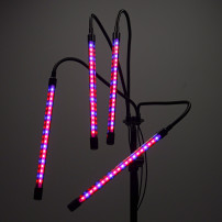 Lampa LED do roślin na statywie 4x80 diod, timer i pilot RF
