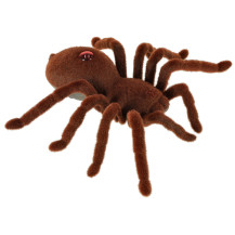 Pająk tarantula zdalnie sterowany na pilota, świecące oczy