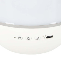 Lampka nocna projektor gwiazd LED USB królik z pilotem, 6 motywów